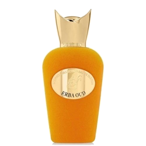Erba Oud (Eau de Parfum)